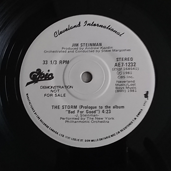 Jim Steinman - Bad For Good LP - Picture 8 of 8